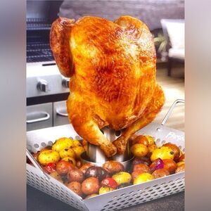 New! Parini Cookware Stainless Steel Chicken Roaster